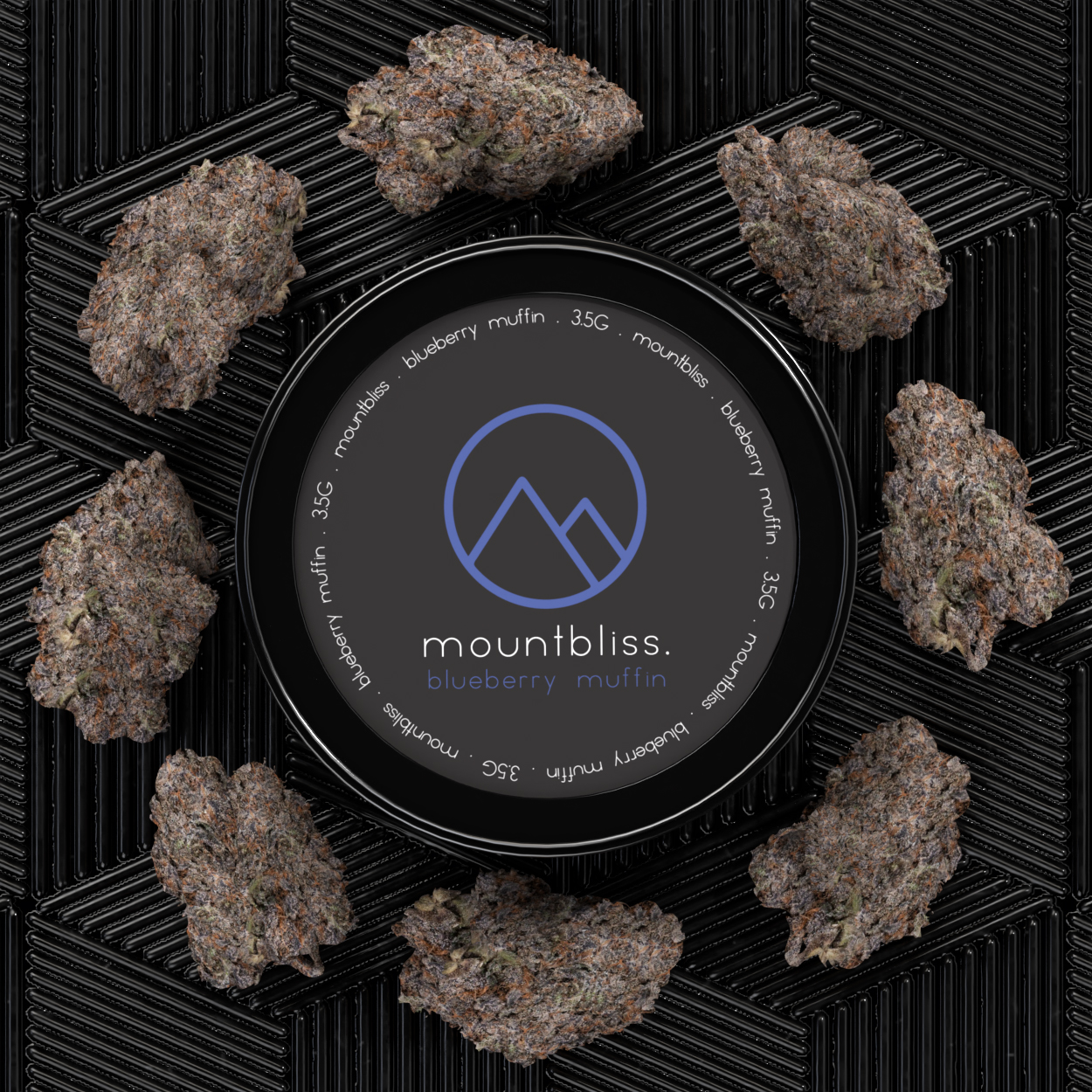 Blueberry Muffin_MB-Current View