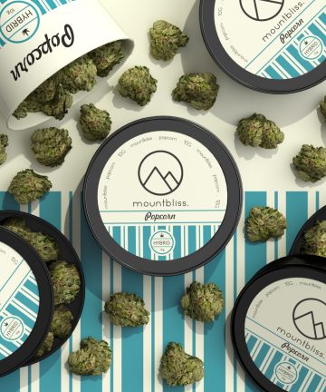 Hybrid Mix Popcorn 10G THC Flower