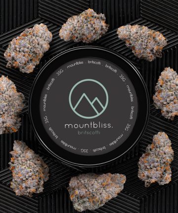 Britscotti 3.5G THC Flower