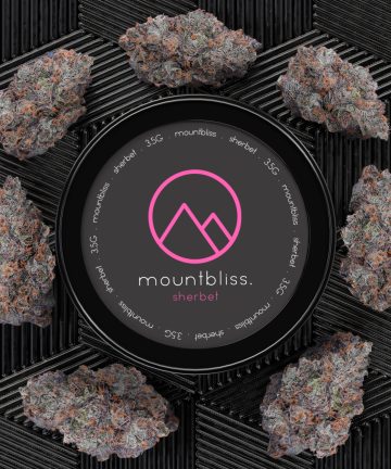 Sherbet 3.5G THC Flower
