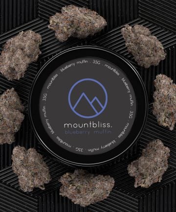 Blueberry Muffin 3.5G THC Flower