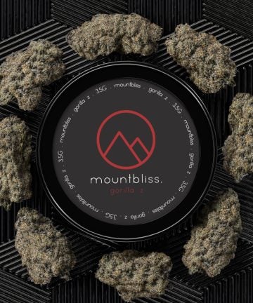 Gorilla Z 3.5G THC Flower